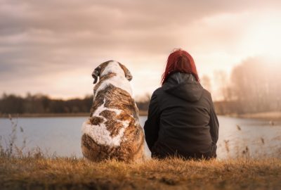 friends, dog, pet